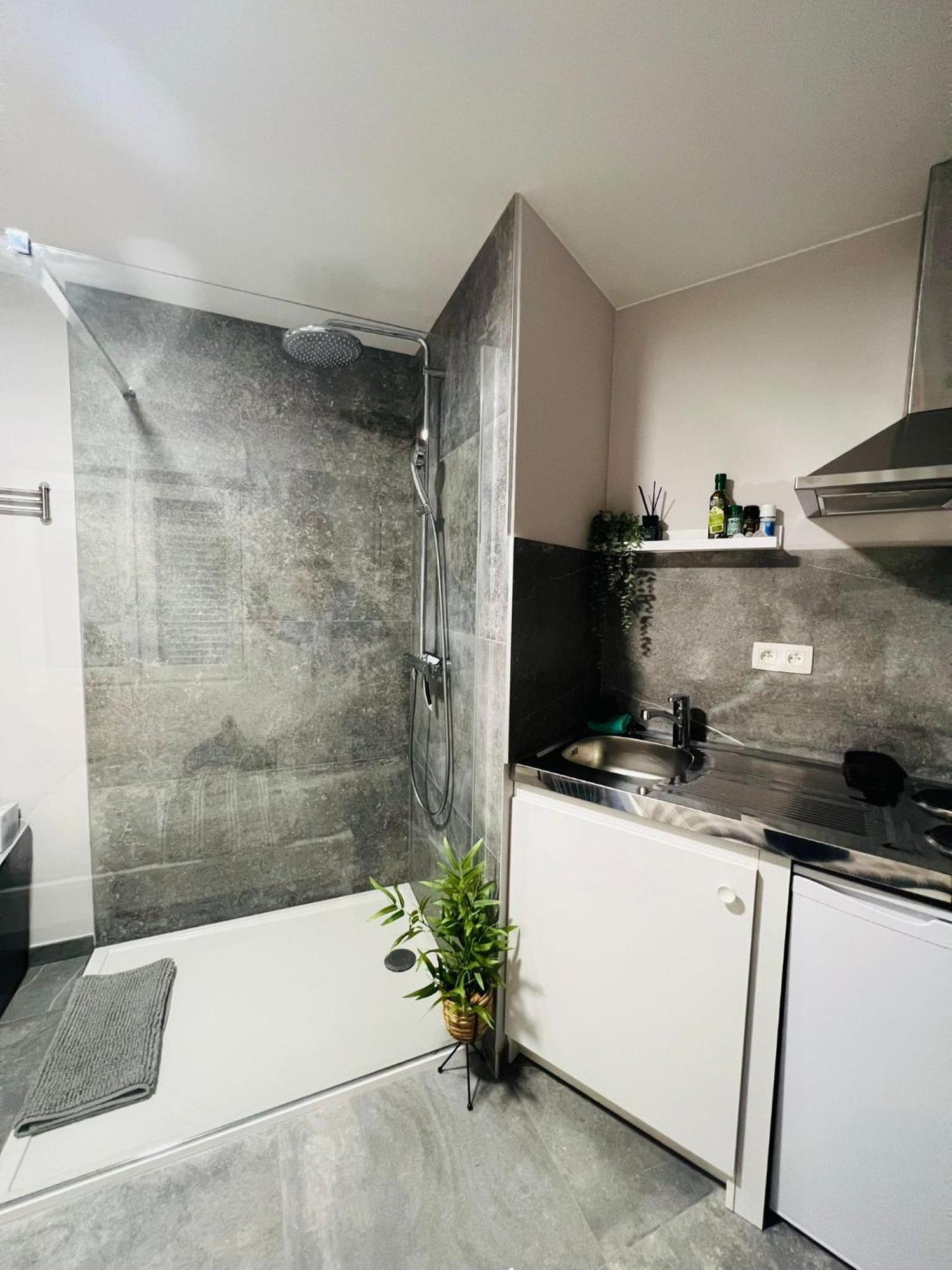 Appartement Mini Studio Une Personne à Liège Extérieur photo